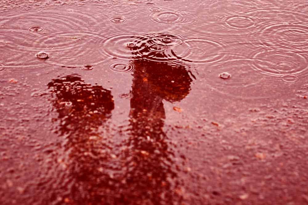 The Most Bizarre Natural Phenomena You Won’t Believe Exist