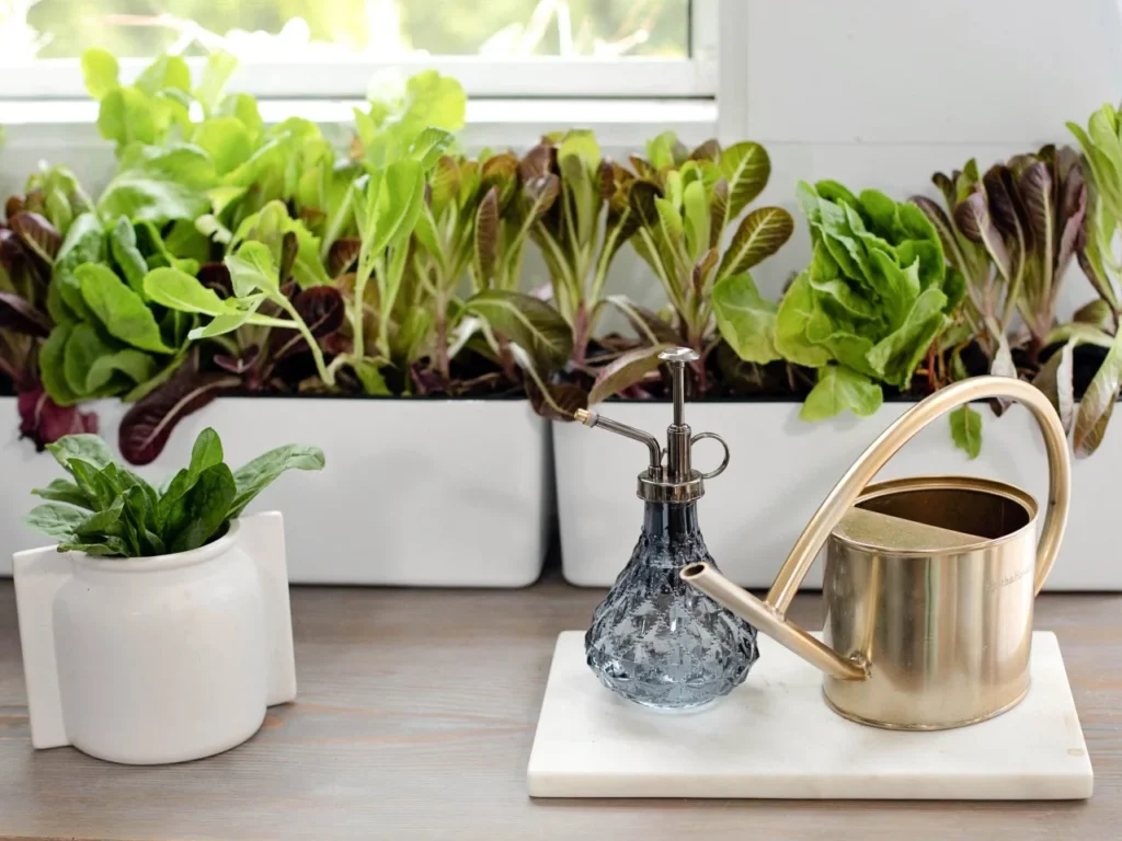 How to Grow Vegetables Indoors All Year Round: A Comprehensive Guide for Urban Dwellers