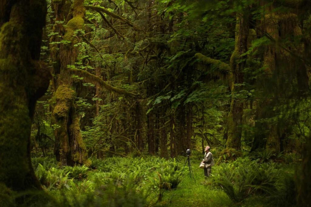 The Quietest Places in the Universe: Where Even Light Rarely Travels