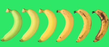 Why Do Bananas Ripen Other Fruits