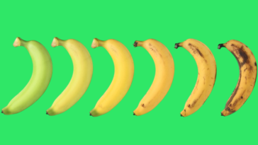 Why Do Bananas Ripen Other Fruits