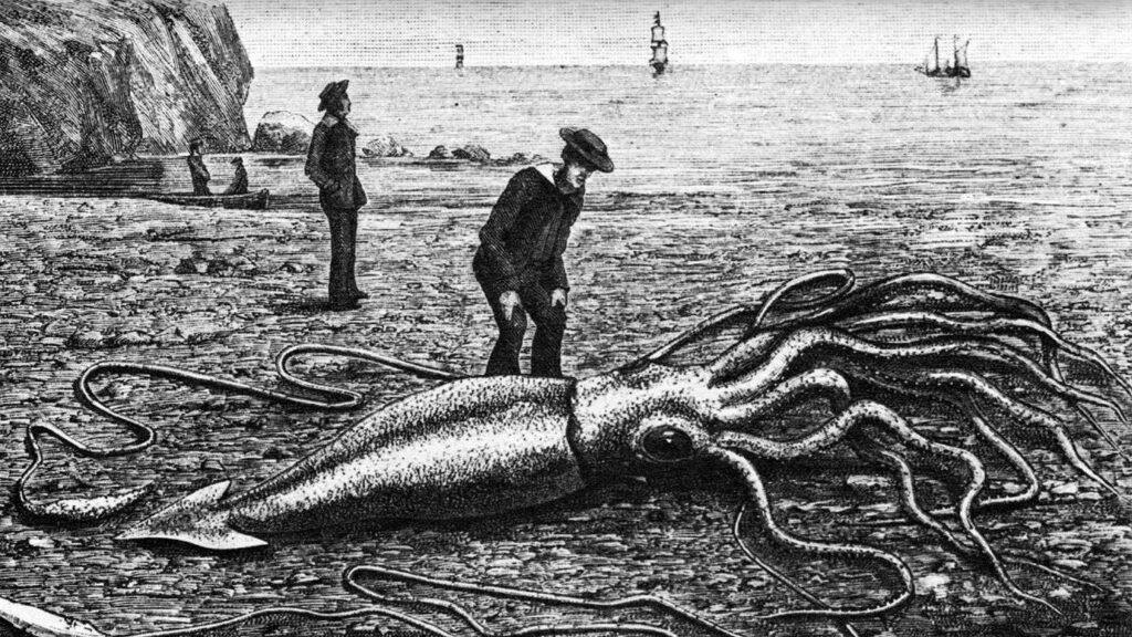 Real Cryptids Discovered: The Giant Squid: Sea Monster of the Deep

