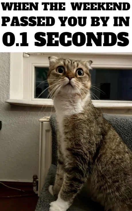 Sunday Meme