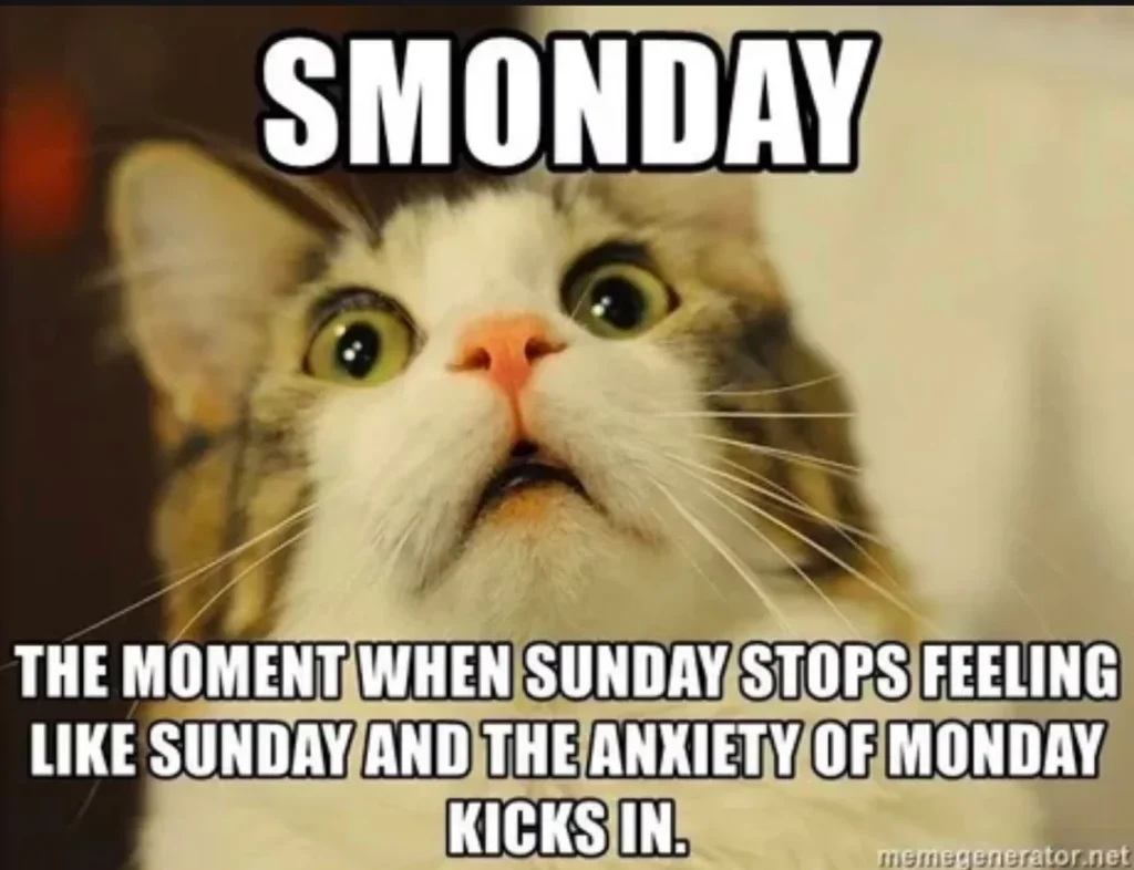 Sunday Meme